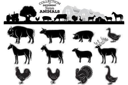 set of different silhouettes and monochrome images of farm animals and birdsのイラスト素材