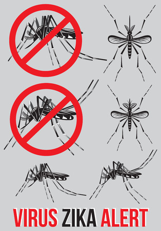 Set of templates, elements with mosquito for medical emblem to topik Zika virus alert. Warning of caution and risk of infection this disease.のイラスト素材