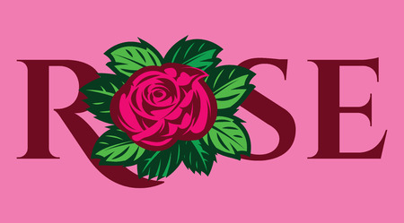 vector illustration with color rose and label for design packing.のイラスト素材