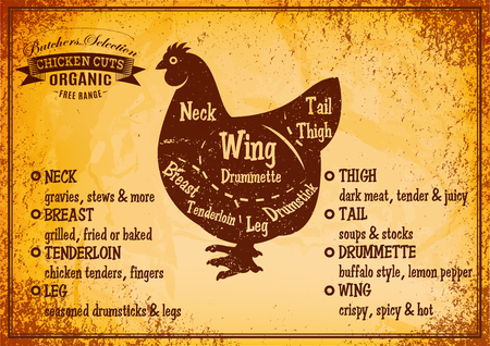 vector color poster with detailed diagram cutting chicken.のイラスト素材