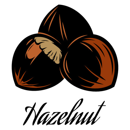 Vector color illustration of a hazelnut pod.のイラスト素材