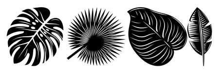 Set of various tropical black leaves. Design elements. Monochrome illustration.のイラスト素材