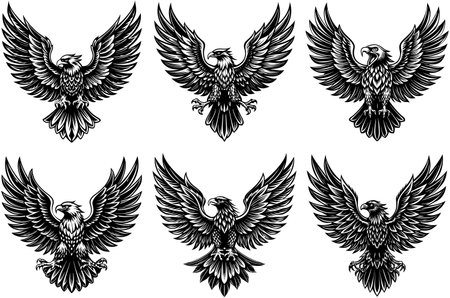 A set of images of a black eagle with spread wings.のイラスト素材