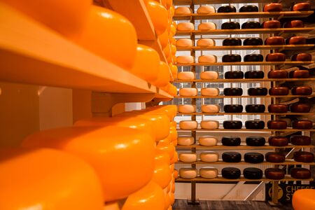 Dutch cheese shop with cheeses in black and yellow packagingの写真素材