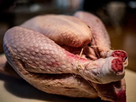 Fresh farmhouse and organic chickenの写真素材