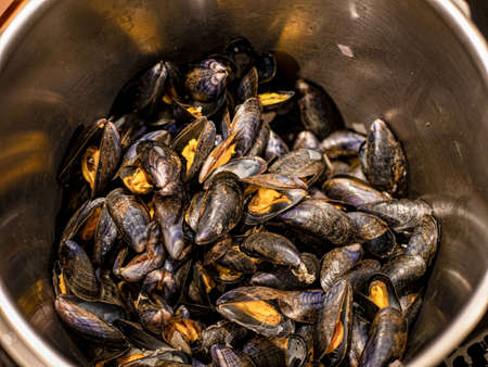 French Mussels cooked in white wineの写真素材