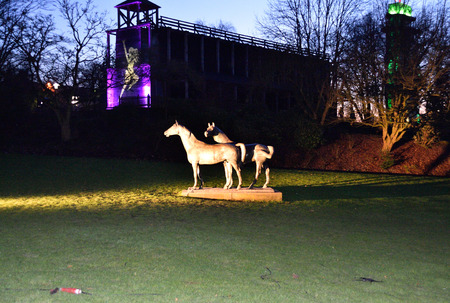 Magical lights in Grugapark, Germanyの写真素材