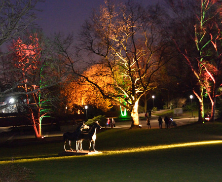 Magical lights in Grugapark, Germanyの写真素材
