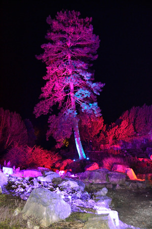 Magical lights in Grugapark, Germanyの写真素材