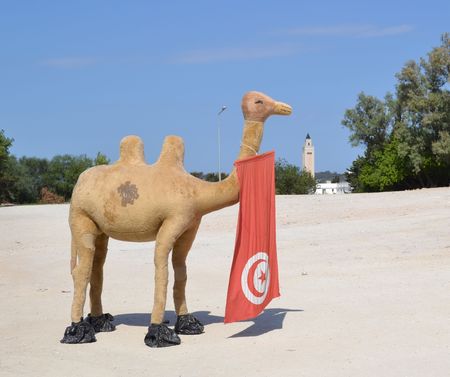 Tunisiaの写真素材