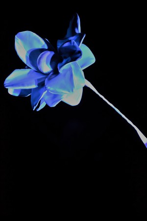 Flower of Fabricの写真素材