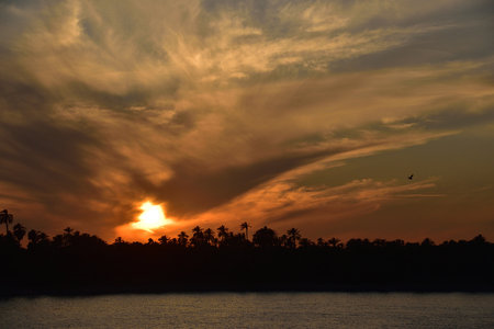 Silhouette of palm trees at sunset on the river bank.の写真素材