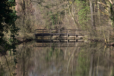 Wooden bridge over the river in the forest with reflections on the waterの写真素材