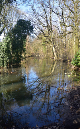 A view of a river flowing through woodland in the English countryside.の写真素材