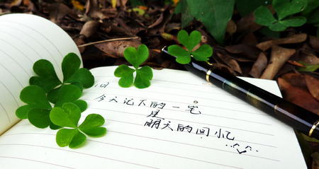 Notebook and green plantの写真素材