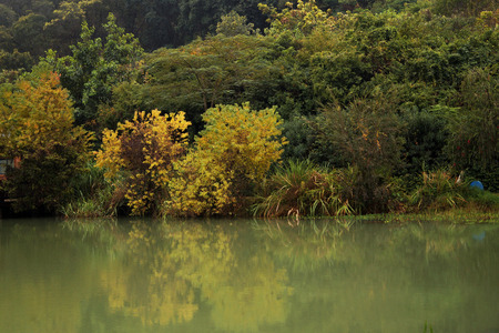 Sceneryの写真素材