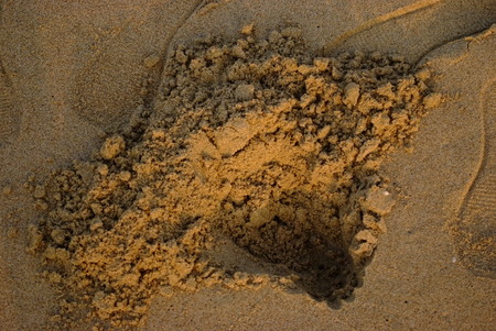 sand at the beachの写真素材