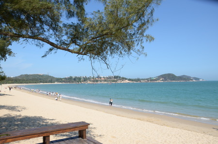 scenery at the beachの写真素材