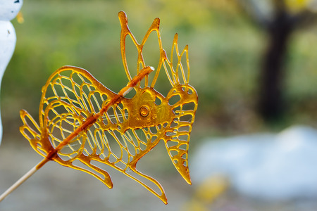 Chinese sugar painting, traditional Beijing craftの写真素材