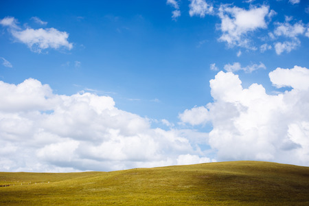 China northern grassland scenery in summerの写真素材