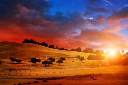 China northern grassland scenery at sunsetの写真素材
