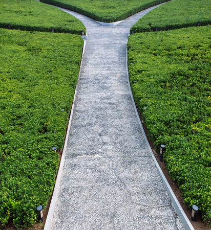 stone path in the gardenの写真素材