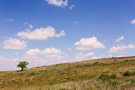 China northern grassland scenery in summerの写真素材