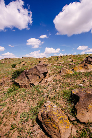 China northern grassland scenery in summerの写真素材