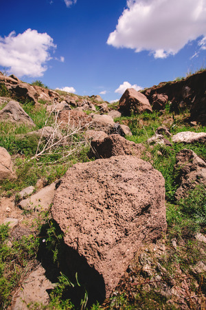 China northern grassland scenery in summerの写真素材