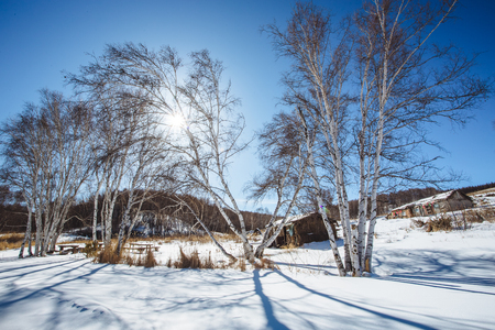Grassland in northern China in winterの写真素材