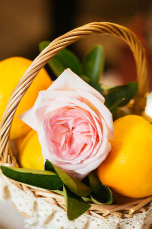 Ripe Navel orange and flowerの写真素材
