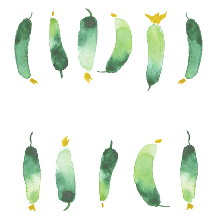 Watercolor cucumbers painting art, vegetable restaurant banner background with natural watercolor splash textures.の写真素材