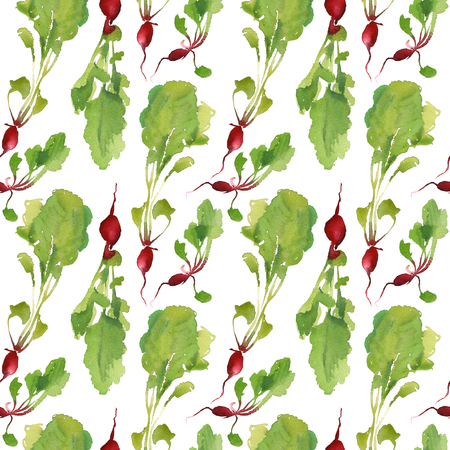 Vegetable garden banner with natural radish. Fresh vegetable. Garden organic plant in cartoon flat watercolor style. Vegetarian concept design. Template farm label background.の写真素材