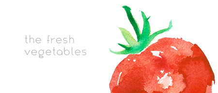Vegetarianism horizontal template banner. Bio food background with watercolor tomatoes. Natural vegetarian food backdrop with tomato paste illustration. Vegetable kitchen for Healthy eating - Diet.の写真素材