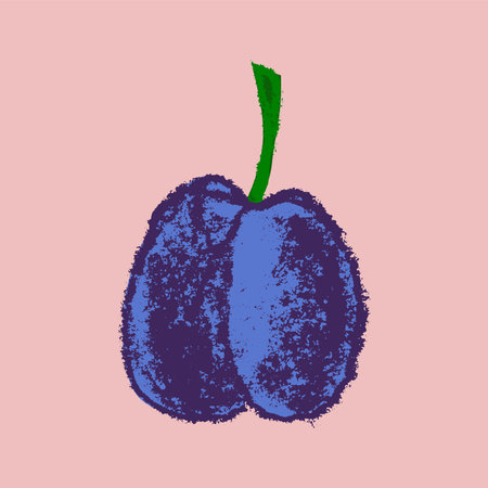 Vector illustration of a fruit. Hand drawn plum. Vector Prune icon isolated. Damson drawing for food logo, juice label design. Violet french plum symbol for organic jam package.のイラスト素材