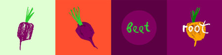 Vector beetroot drawing in trendy pencil hand-drawn style. Sugar beet illustration. Beeroot icon....