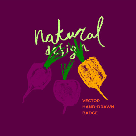 Vector beetroot drawing in trendy pencil hand-drawn style. Sugar beet illustration. Beeroot icon. Vegan restaurant logo, vegetarian symbol. organic food sign. cartoon vegetables. common beetのイラスト素材
