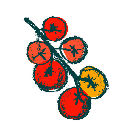 Hand-drawn Cherry tomato drawings. natural tomatoes vector illustration. Pastel drawing of red ripe tomato for seed label, packaging design catchup, vegetarian food symbol.のイラスト素材