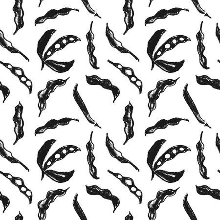 Seamless pattern with black soy beans on white background. Soybean pattern seamless. Hand-drawn soybean ornament for Soy sauce label design. Whole pea pod drawings.の写真素材