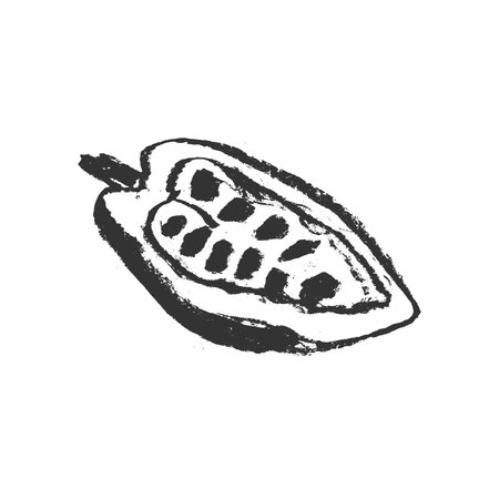 Cacao beans icon on white background. Vector illustration of a cocoa bean. Symbol Bean-to-Bar cacao. Organic product doodle for cafe, label chocolate, cocoa butter badge.のイラスト素材