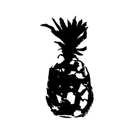 Pineapple on a white background. Hand-drawn illustration.のイラスト素材
