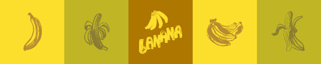 Banana set. Hand drawn vector illustration for your design, logo, label, packaging.のイラスト素材