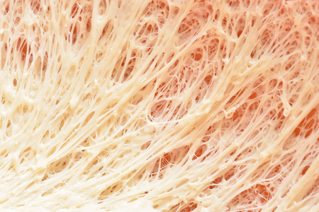 Ugly dough, nasty dough structure, like slime. Close-up.の写真素材