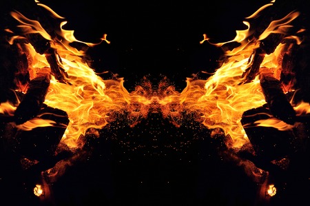 Abstraction, burning fire with sparks. Mystical type of butterfly or monster.