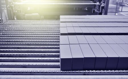 Brick production. New bricks on a conveyor belt at a brick factoryの写真素材