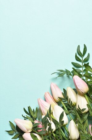 Pattern with text space and tulips on a mint background. Mothers Day or March 8 holidays concept.の写真素材