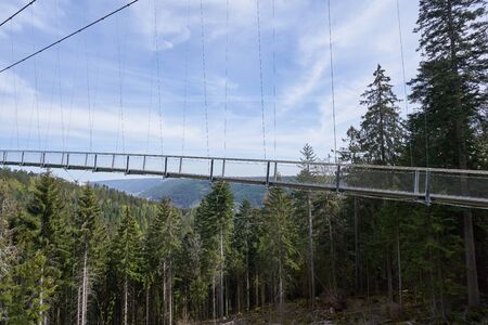 Beautiful landscape with a hanging iron bridge over a coniferous forest in Germany