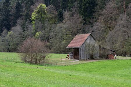 Small wooden stable with horses on a background of a forest inの写真素材