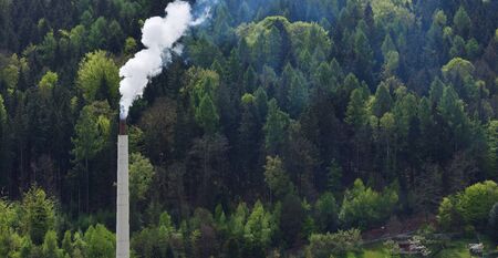 Pectin factory and smoking pipe against the background of the forest.の写真素材