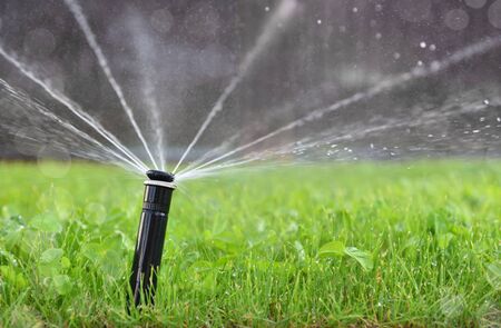 Automatic watering the lawn. Bright green lawn poured with fresh water with a sprayの写真素材